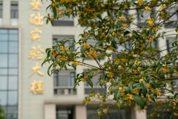 【邀约成电—师长篇】WE ARE TRANSFORMING THE ENERGY