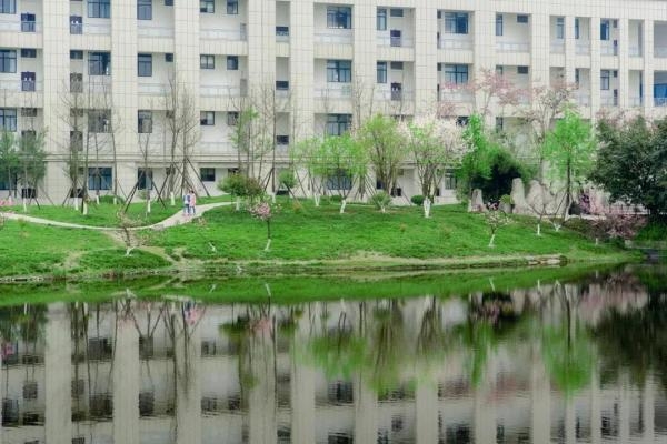 玩转电子科技大学