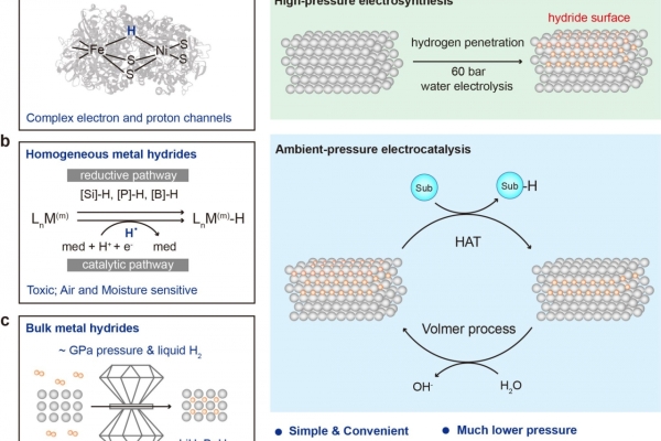 材料学院夏川教授团队在Nature Communications报道电催化活性金属氢化物表面的高压合成策略