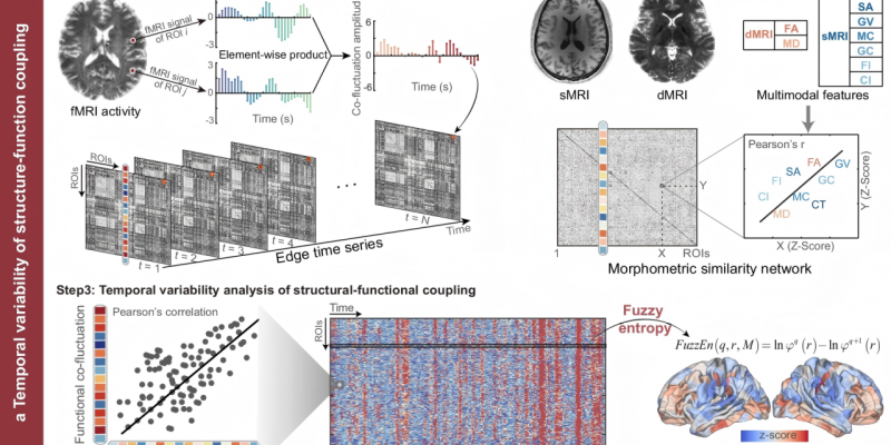 生命学院脑器交互研究团队在Nature Communications期刊发表研究成果