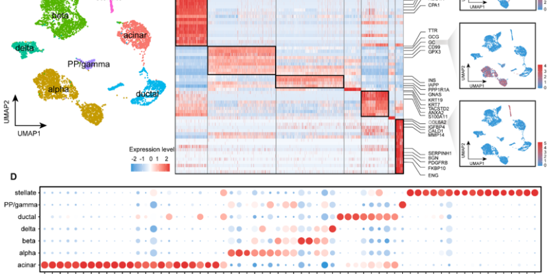 生命学院林昊教授、吕昊副教授在国际高水平期刊Cardiovascular Diabetology发表研究成果