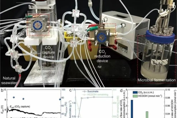 海水“变”生物塑料!我国科学家联合破解海水捕碳难题