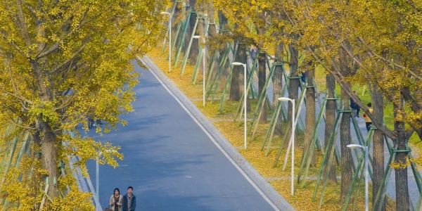 世界虽小🥰成电很大🧡