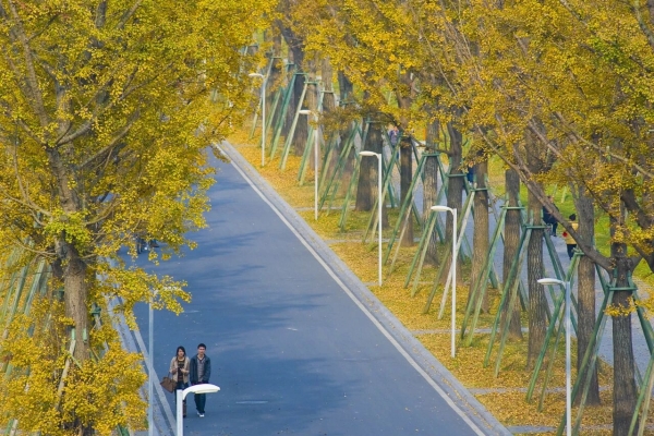 世界虽小🥰成电很大🧡