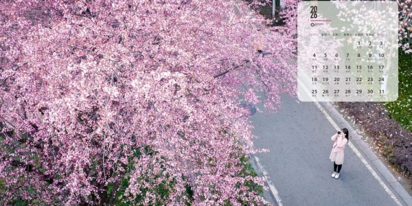 收藏！2026成电专属日历壁纸送上！