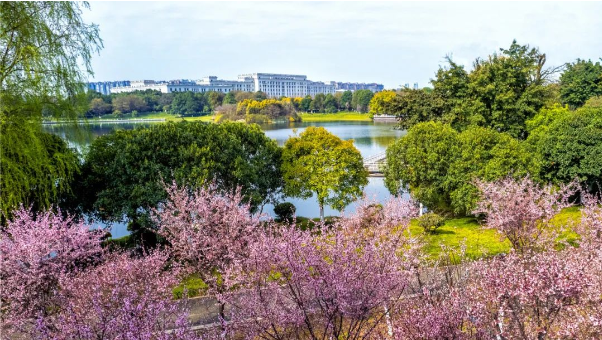 “花”样翻新！一起遇见成电的春日！