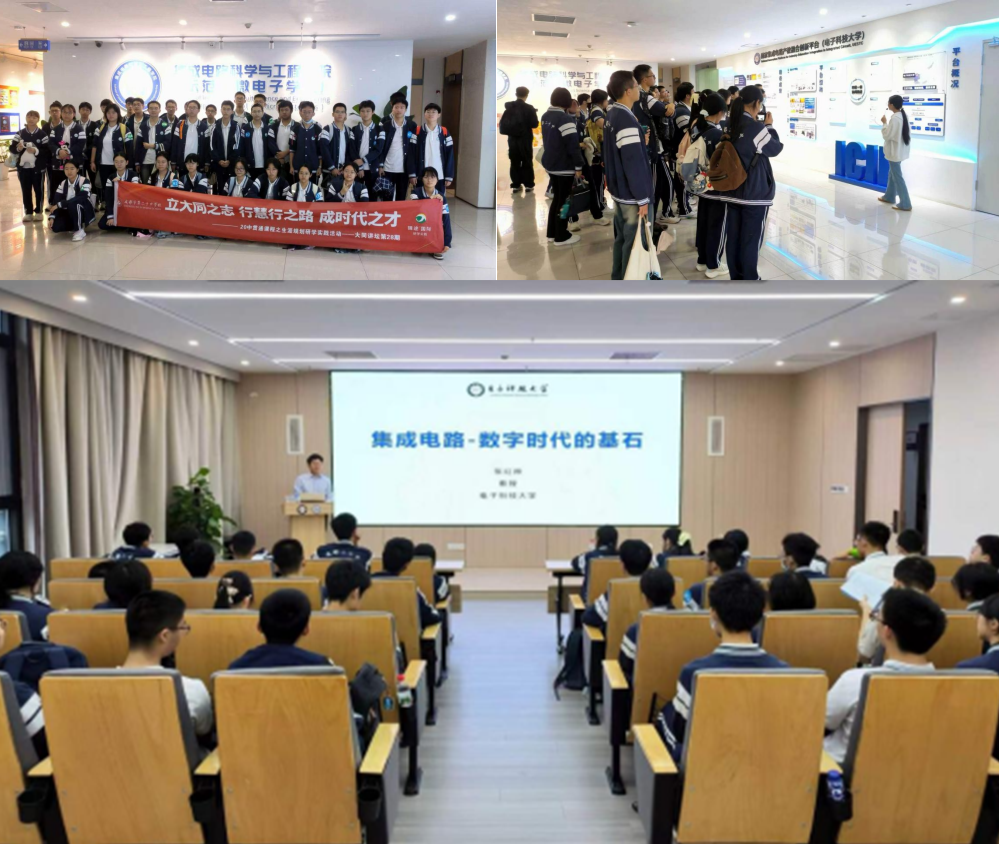 图层 3.png